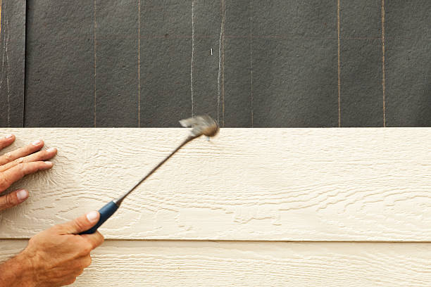 Best Vinyl Siding Installation  in Braska City, NE