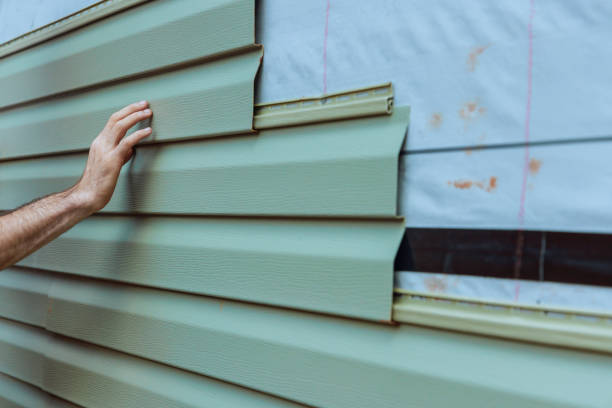 Best Aluminum Siding Installation  in Braska City, NE